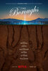 The Boroughs  Thumbnail