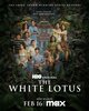 The White Lotus  Thumbnail